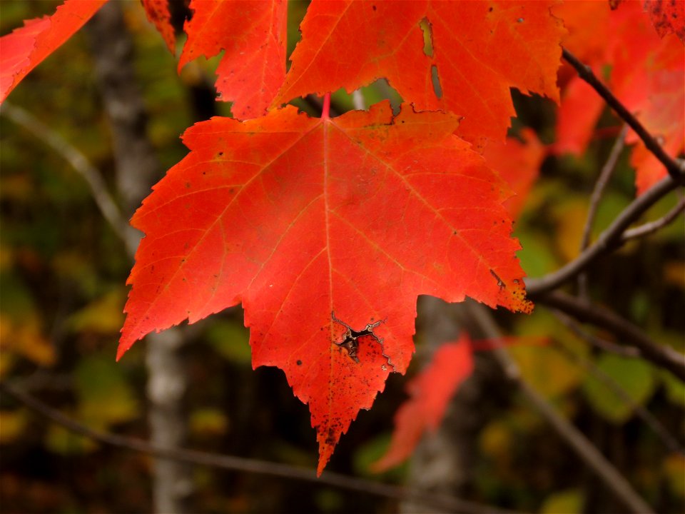 20210921-FS-Superior-SAR-009