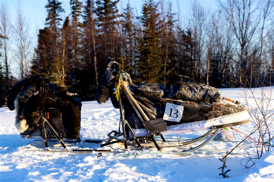 Kobuk 440 racers at Paniqsigvik shelter cabin.