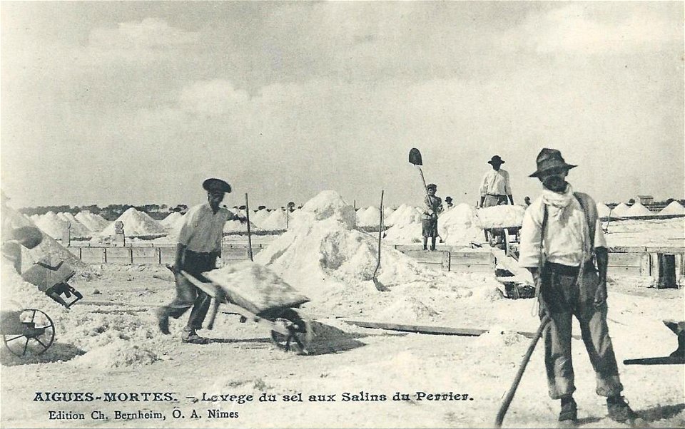 Les salins du Perrier à Aigues-Mortes