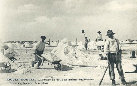 Les salins du Perrier à Aigues-Mortes
