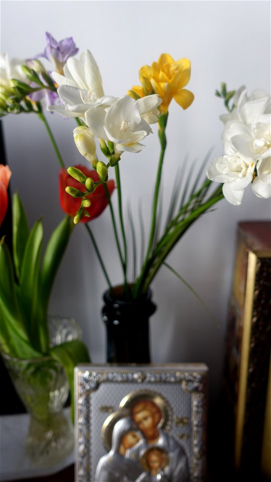 flori_flowers-wife-2023_0216_161727
