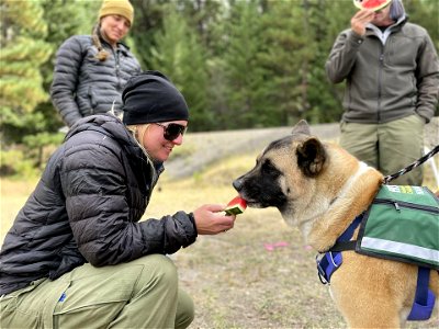 202209-Animal Assist Crisis Response dogs visit Goat Rocks Fire Camp photo
