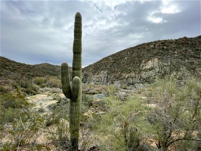 Black Canyon National Recreation Trail photo