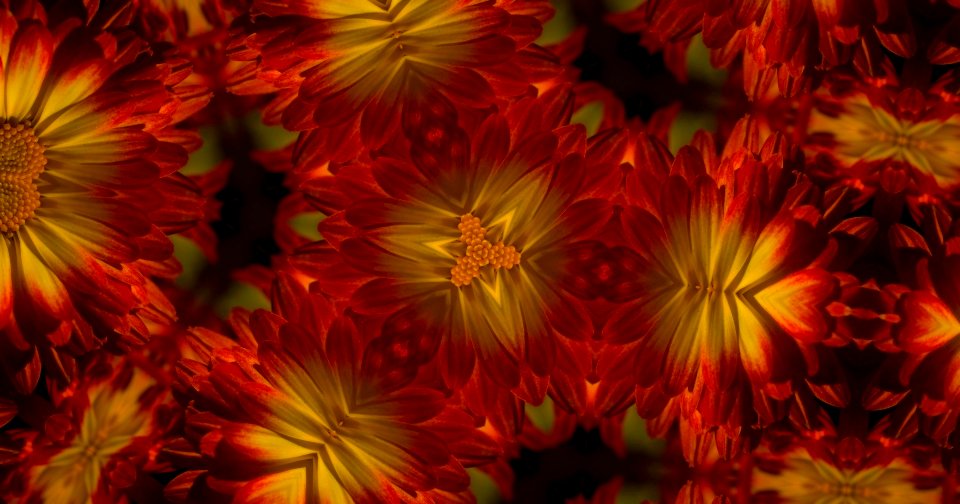 Kaleidoscope230306220450