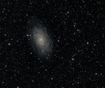 Triangulum Galaxy (Messier 33) photo
