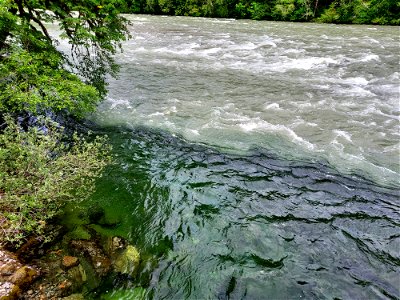 Confluence of Clear Creek with the Sauk River, Mt. Baker-Snoqualmie National Forest. Photo by Anne Vassar June 4, 2021. photo