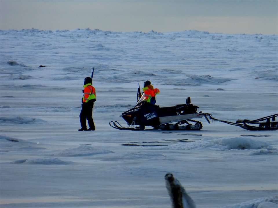 Polar bear patrol trainees in Wales, Alaska