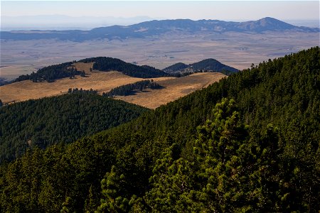 Mountains and trees from Judith Peak photo