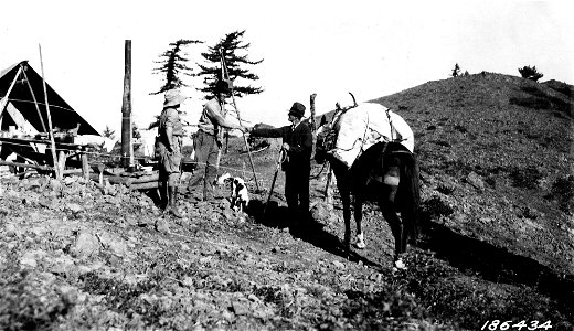 186434-bald-ridges-lo-bidding-goodbye-umpqua-nf-or-1923jpg_49385853577_o