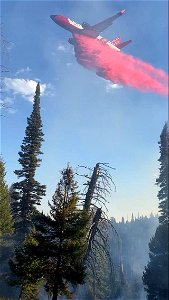 Sawtel Peak Fire photo