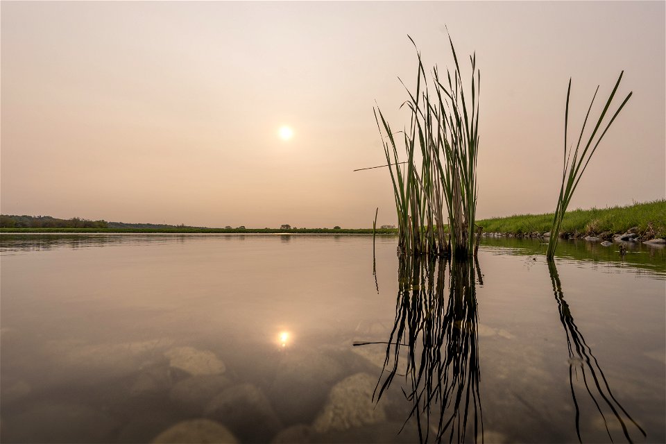Smoky Morning at Gavins Point National Fish Hatchery