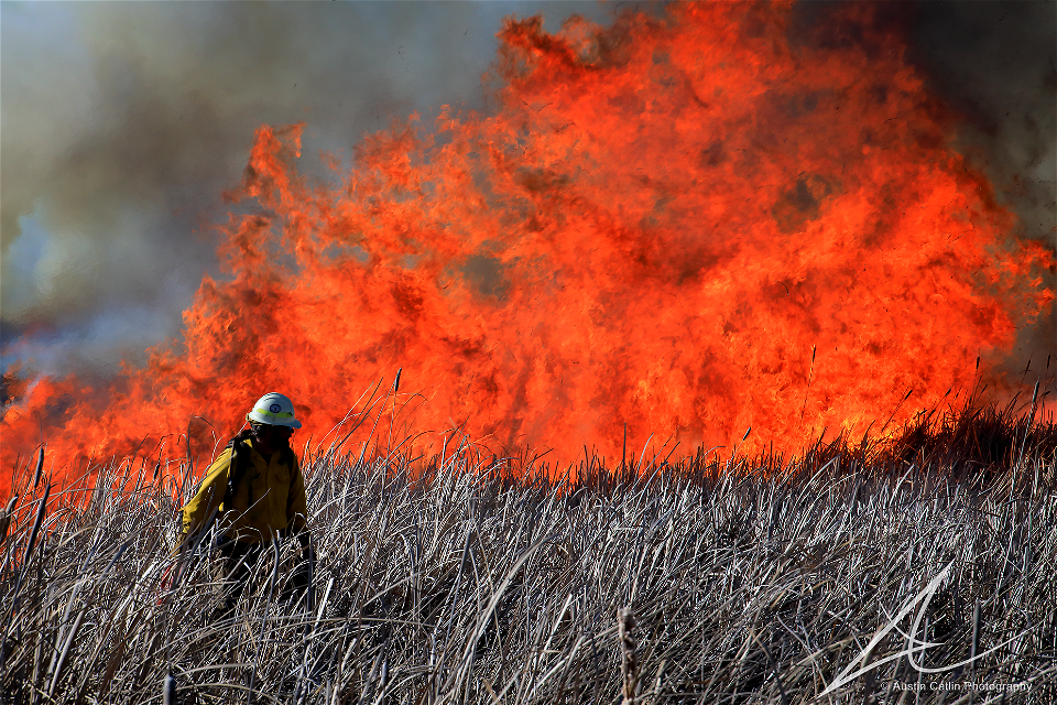 Market Lake Prescribed Fire