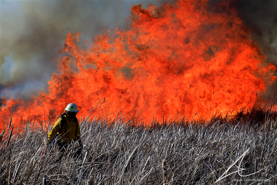 Market Lake Prescribed Fire photo