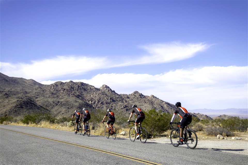 Cyclists on Park Boulevard