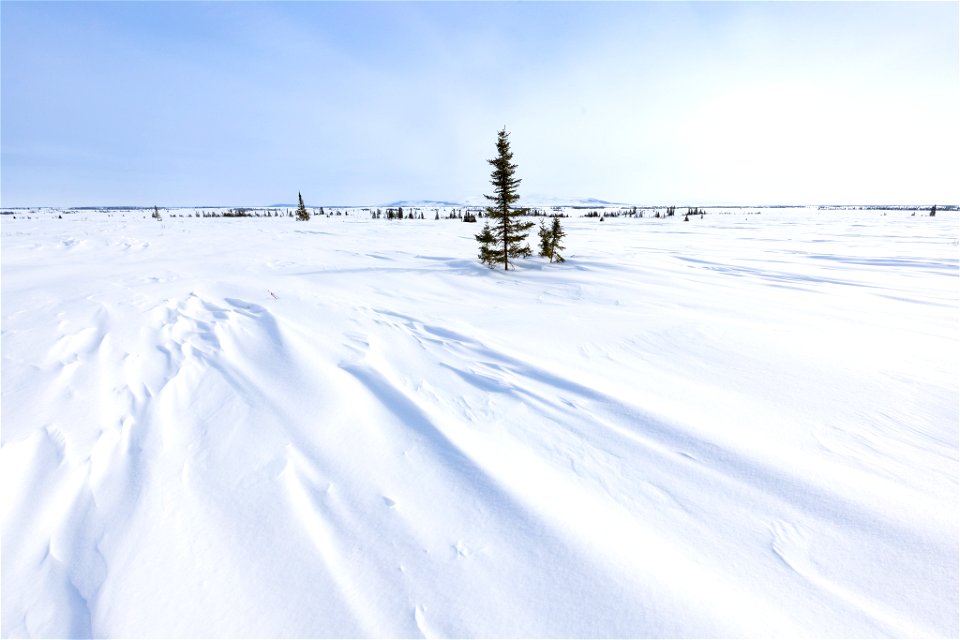 Textures of snow at Selawik National Wildlife Refuge