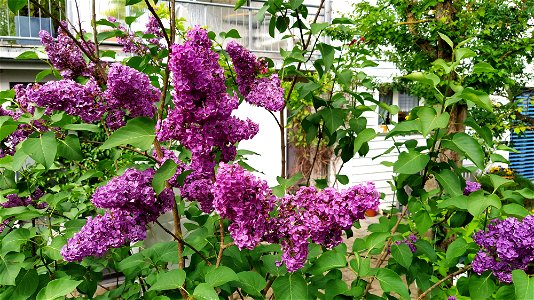 IMG_20220522_164054