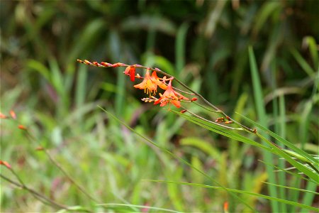 ZZIMG_8416