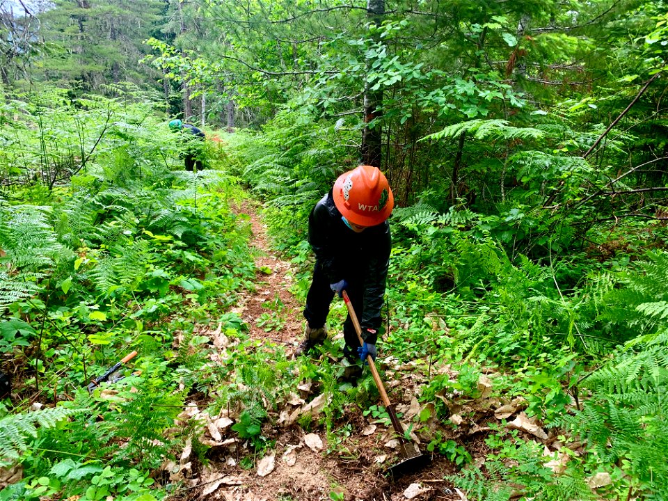 20210605-FS-GPNF-Washinton Trails Association volunteers clear trails at Wind River Arboretum 03, photo by Stasia Honnold.