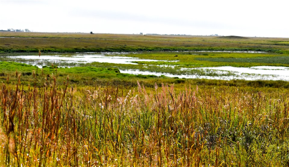 Prairie Pothole Landscape on Neilsen WPA Lake Andes Wetland Management District South Dakota photo