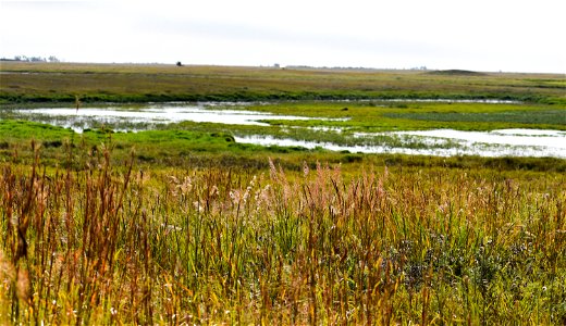 Prairie Pothole Landscape on Neilsen WPA Lake Andes Wetland Management District South Dakota