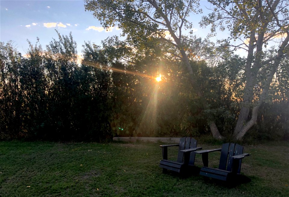 2021/365/246 That Vivid Light
