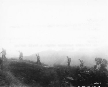 SC 151559 - An infantry marching across a trail during maneuvers. Hawaii.