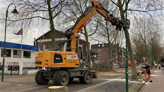 Kapellerlaan Roermond krijgt andere bomen