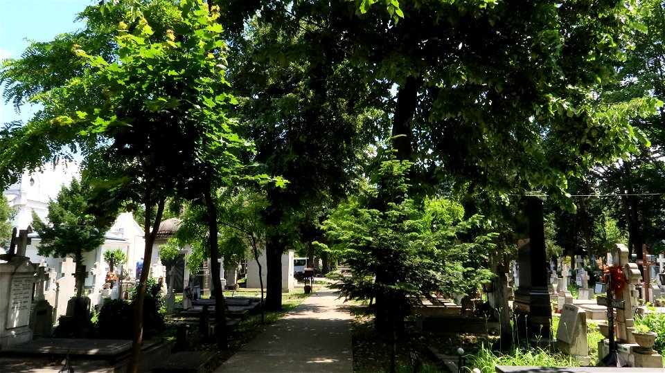 Bellu_cemetery (45) photo