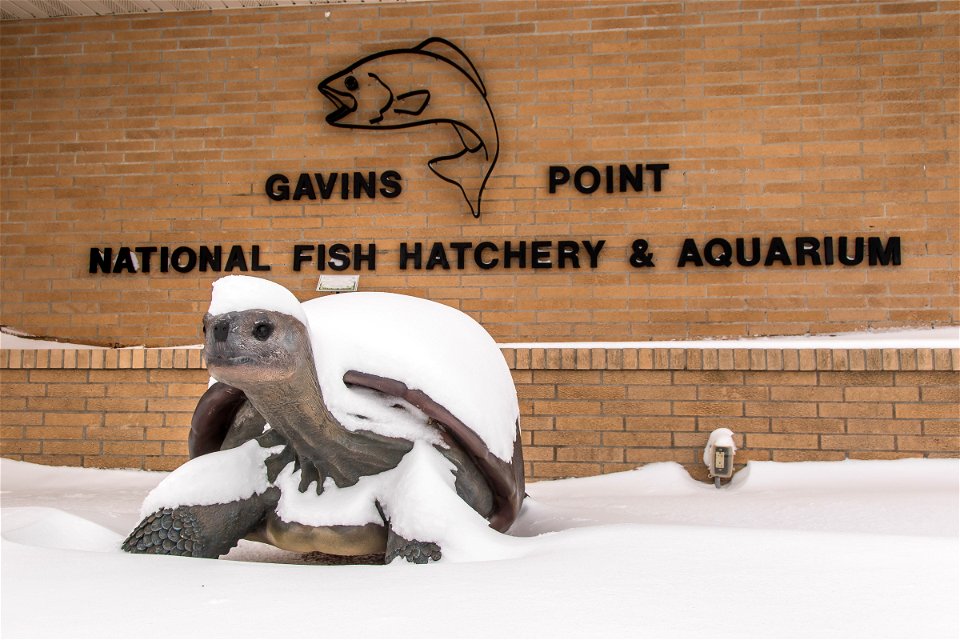 Snowy aquarium sign