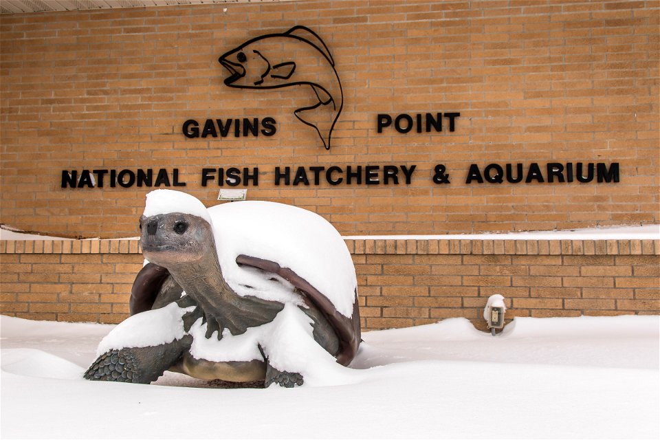 Snowy aquarium sign photo