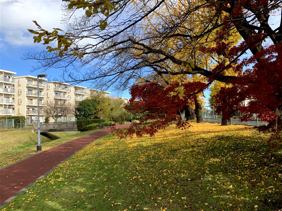 Shinyama Waterside Plaza in Shimosato, Higashikurume-shi in November