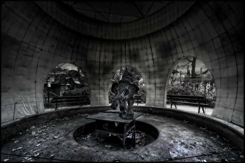 The Elephant in the Room