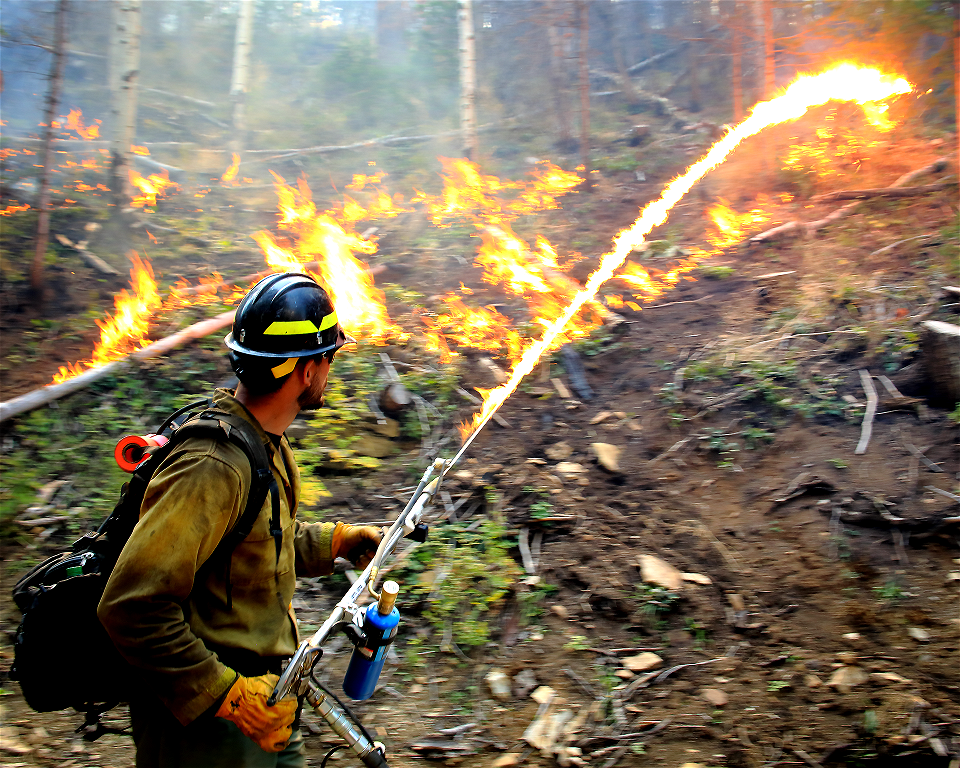 Fuels Management, Terra Torch