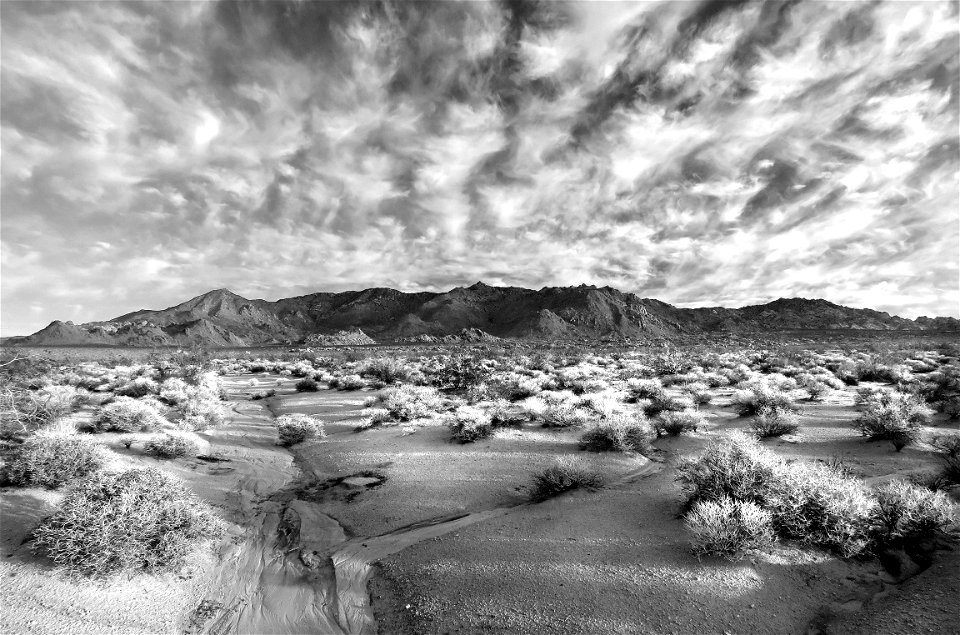 GRANITE MOUNTAIN (03-18-2023)  am at campsite at granite mt, san bernadino co, ca -02 BW