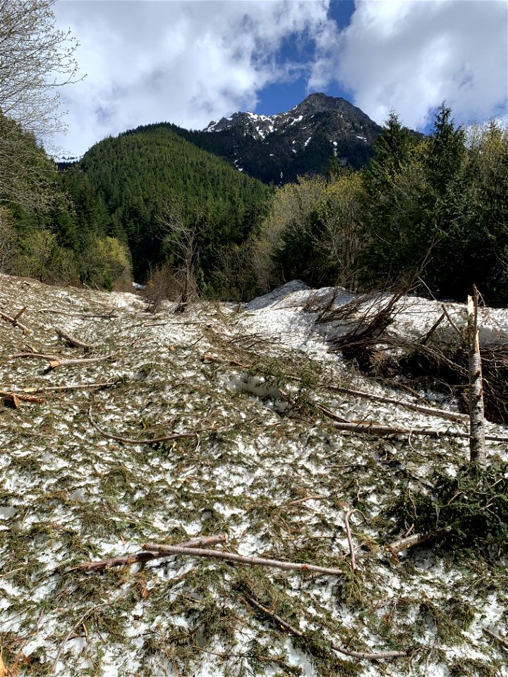 North Fork Sauk Trail, Mt. Baker-Snoqualmie National Forest Photo by Sydney Corral May 18, 2021