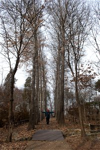Hantaek Botanical Garden