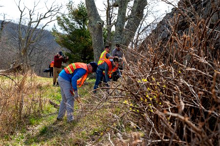 Show Your Love for Shenandoah