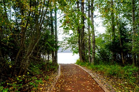 Sprague Creek Picnic Area Shoreline