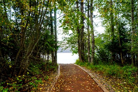 Sprague Creek Picnic Area Shoreline photo