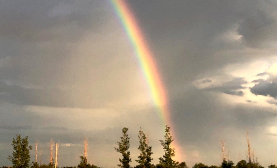 Roy G Biv in Person