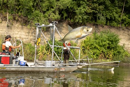 Invasive Carp Research on the James River in South Dakota. Photo: Sam Stukel (USFWS)