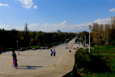 parcCarol2013_0413_161852(1)
