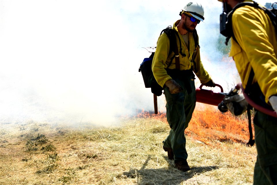 BLM’s Folsom Lake Veterans Crew perform RX Burn at Cosumnes River Preserve restoring critical habitat. photo