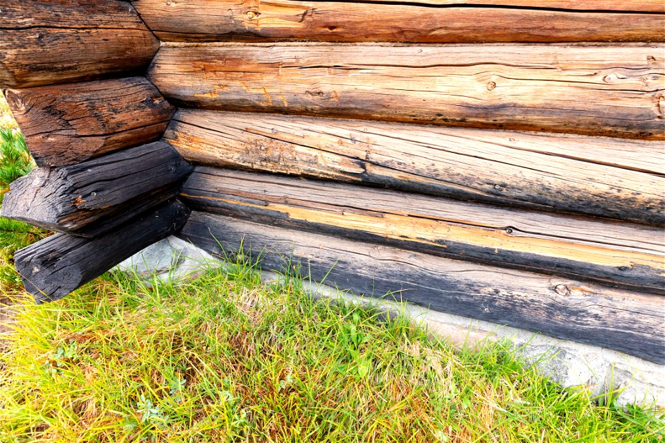 Lamar Mountain Patrol Cabin: log damage south face