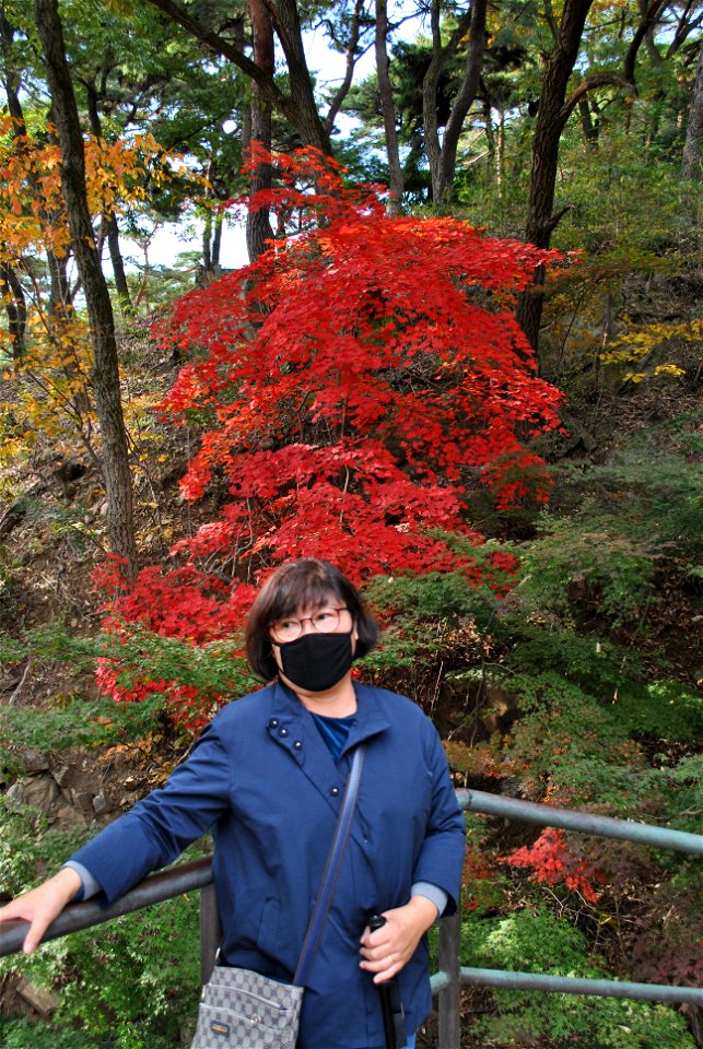 Deoksungsan Mountain