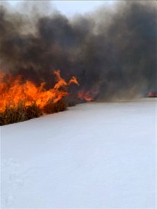 2021 USFWS Fire Employee Photo Contest Category: Fuels Management photo