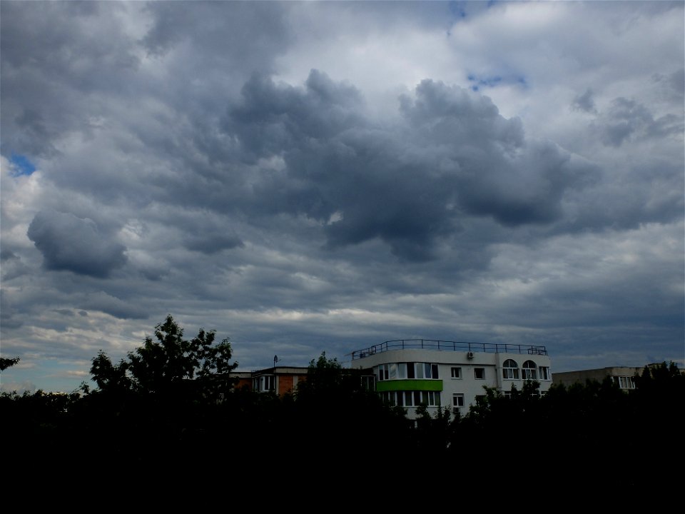 nori-sediu2015_0526_165011