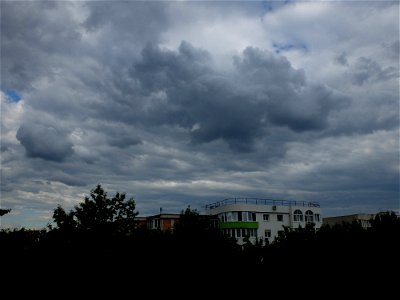 nori-sediu2015_0526_165011