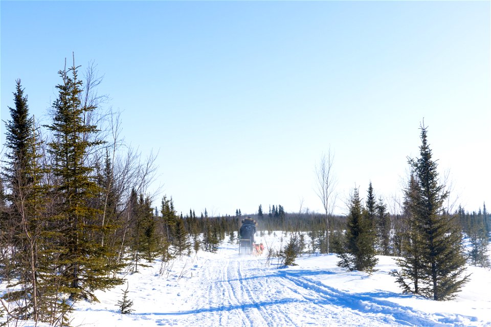 Kobuk 440 racers at Paniqsigvik shelter cabin.