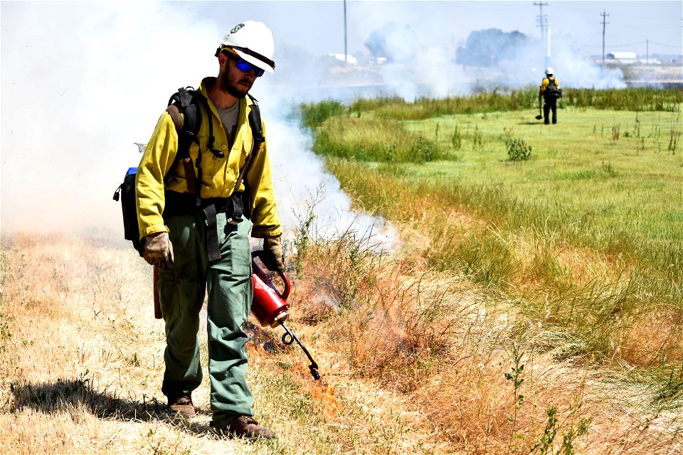 BLM’s Folsom Lake Veterans Crew perform RX Burn at Cosumnes River Preserve restoring critical habitat. photo